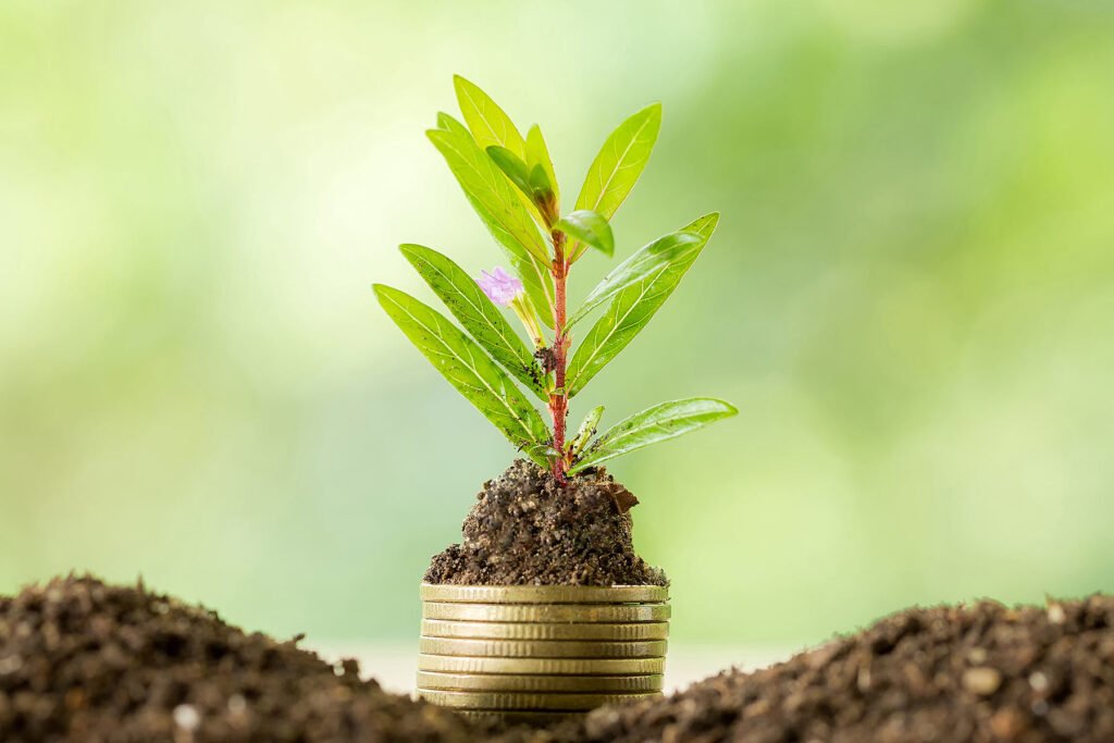 Екологія – що це таке, чому вона важлива та як кожен може допомогти планеті екологія